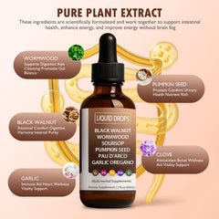 Graphic illustrating gut health and energy support