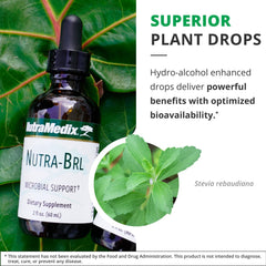 Compatibility with gut health and digestive products