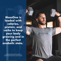 NutraOne MassOne vanilla macro chart graphic supporting energy planning