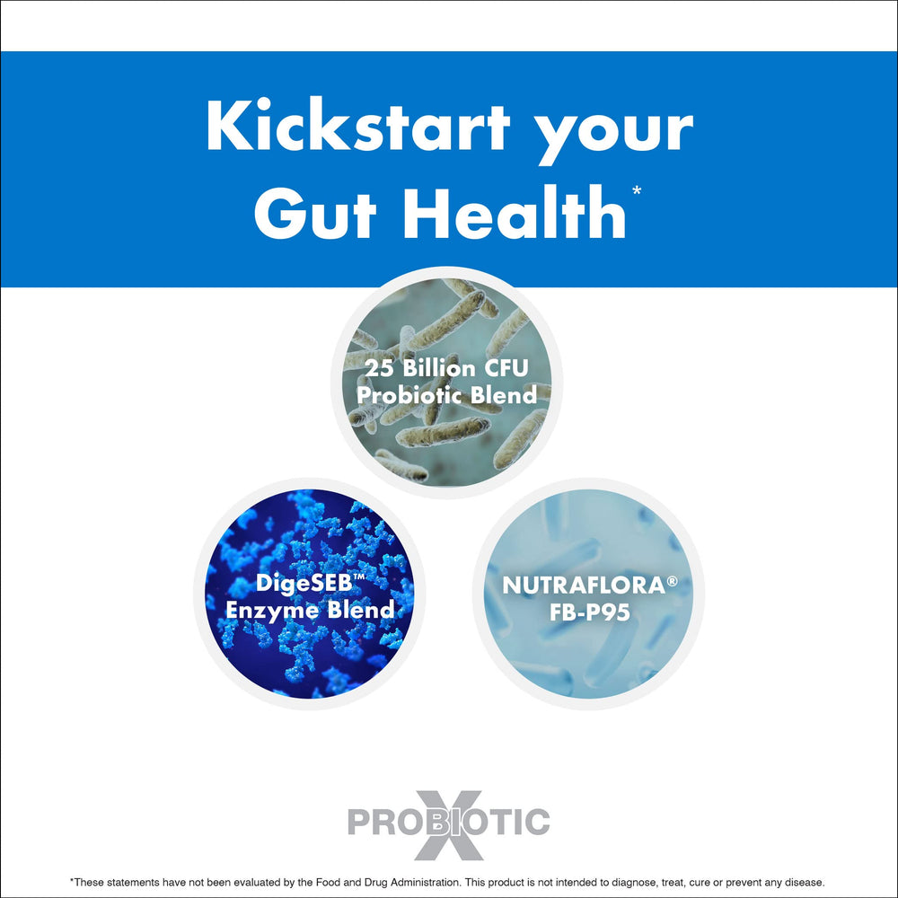 Illustration of gut microflora balance