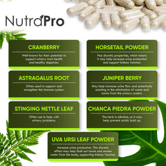 Bladder support ingredients including Cranberry, Uva Ursi, Stinging Nettle