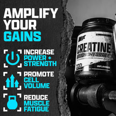 5 g creatine monohydrate scoop with powder