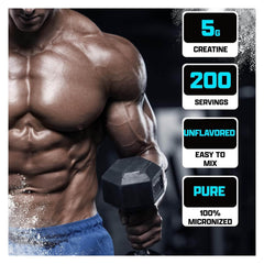 Made in USA Nutrex Creatine Monohydrate banner