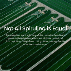 Spirulina providing energy