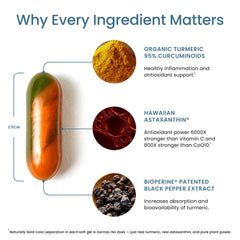 BioPerine black pepper extract illustration