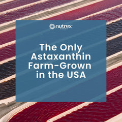 Nutrition label and ingredients on TurmericAstin bottle