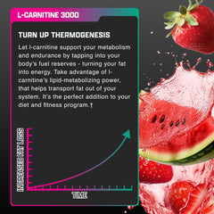 Ingredients panel of Nutrex Liquid Carnitine 3000