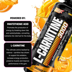 Pourable liquid L-Carnitine