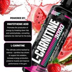 Serving scoop of Nutrex Liquid Carnitine 3000