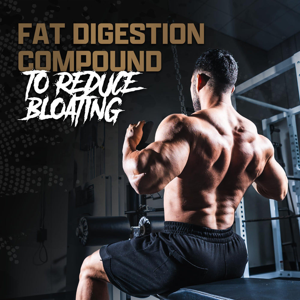 Nutrex Research Chocolate Whey Protein mixer bottle ready for quick on-the-go shakes
