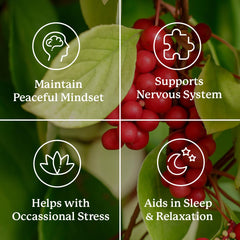 Vitamin C and B-Complex supplement elements associated with Nutri-Calm
