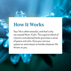 Nervous system support graphic for Nutri-Calm
