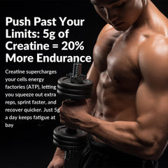 Label highlights taurine and B vitamins on Nutribota Creatine Gummies