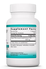 Close-up of Artemisia annua extract 30:1 concentrate