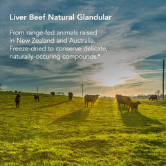 Ingredients and label for Nutricology Liver Beef 125 VegiCaps