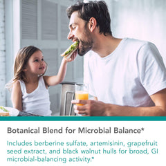 Graphic illustrating gut health and probiotic balance
