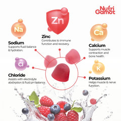 NutriGamot gummies on-the-go pack fits gym bag for ready hydration