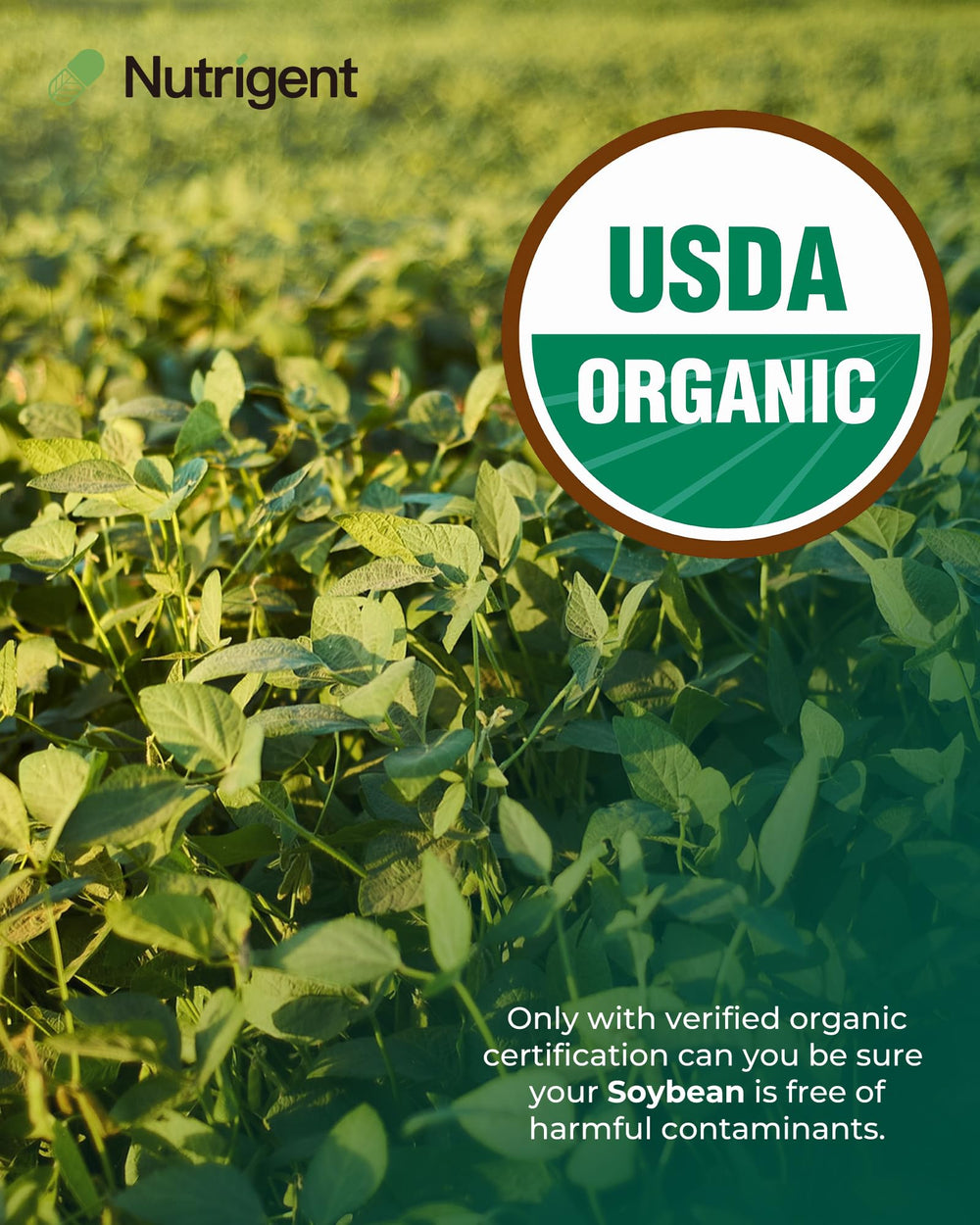 USDA Organic certification seal with Nutrigent Soy Lecithin 800 mg