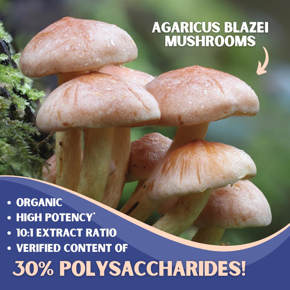 Graphic showing 30% polysaccharides and 10:1 extract