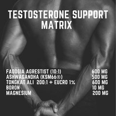 Nutriissa PCT Fadogia Agrestis plant extract visual emphasizes strength
