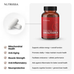 Ingredient highlights featuring Urolithin A 1000mg