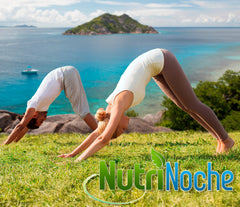 Usage concept with bottle and dropper for NutriNoche colloidal silver