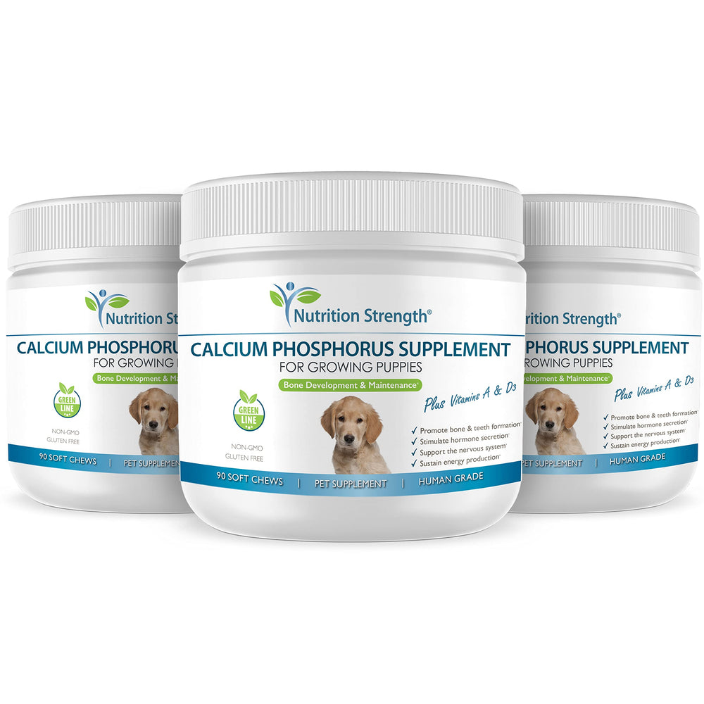 90 soft chews bottle for dog bone support