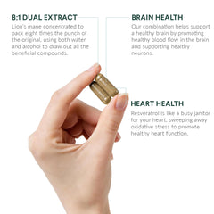 Graphic showing 800mg Lion’s Mane extract per serving