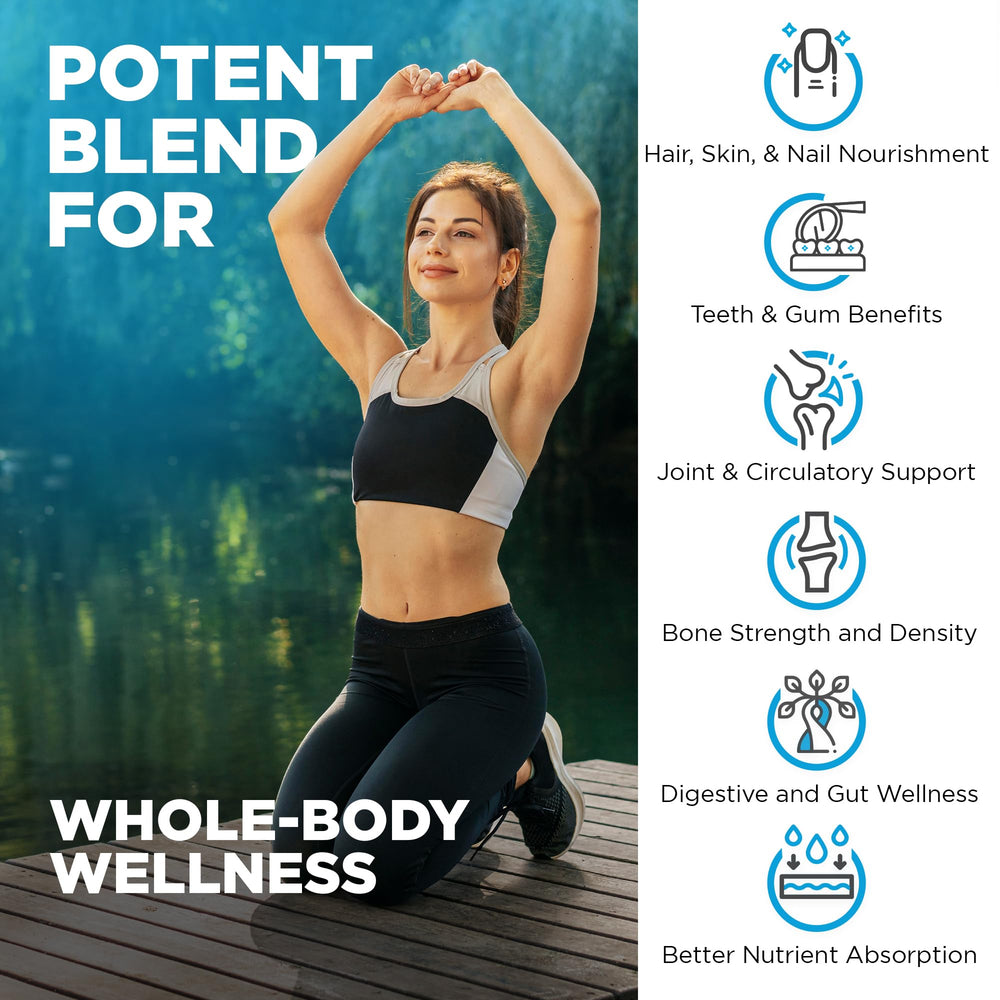 Graphic illustration of collagen types I, II, III, V, X