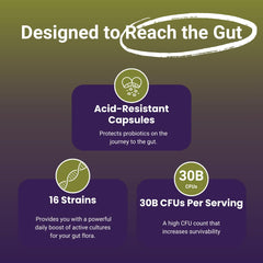 Non-dairy, soy-free probiotic product packaging