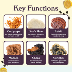 Illustration of six mushroom blend ingredients (Lion’s Mane, Cordyceps, Reishi, Maitake, Chaga, Coriolus)