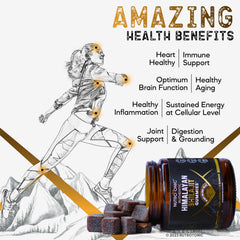 NutroTonic Shilajit Gummies ingredients list