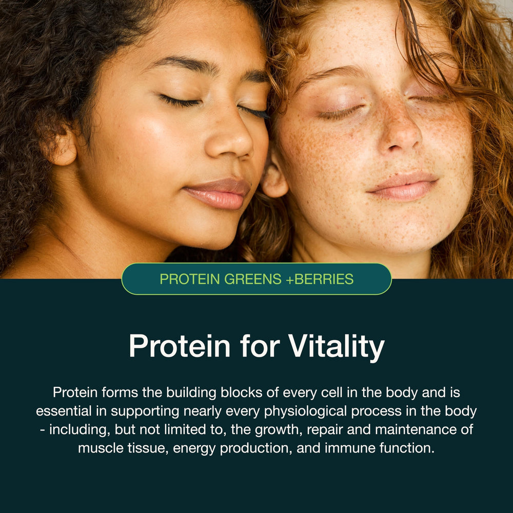 Packaging shot of Nuzest Protein Greens + Berries Cocoa 300g