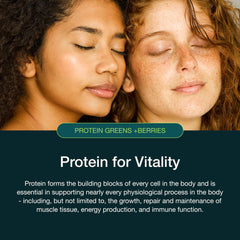 Packaging shot of Nuzest Protein Greens + Berries Cocoa 300g