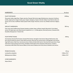 Illustration of gut health, immunity and energy benefits from greens powder