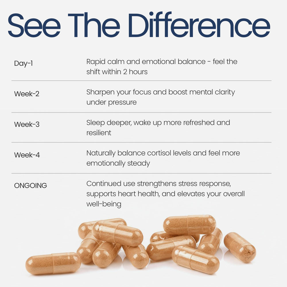 Concept of cognitive support and mental clarity