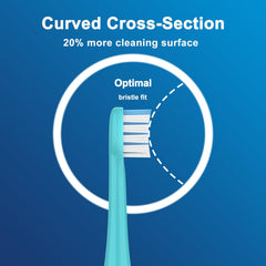 Dense bristles remove plaque while protecting enamel
