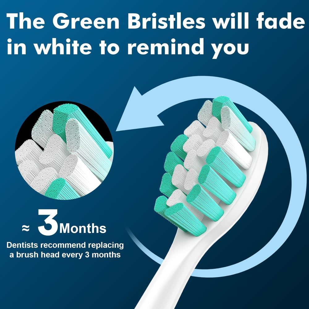 Note: avoid peppermint essential oil toothpaste to protect Ofashu heads