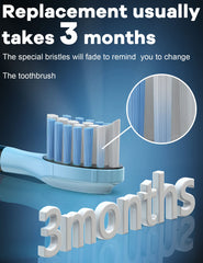 Advanced bristle planting technology prevents bristle shedding