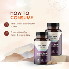 Ohana Reishi+ capsules