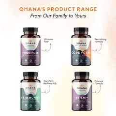 Ohana Reishi+ powder being added to a smoothie