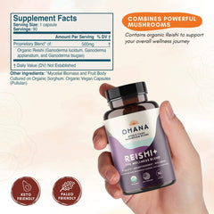 Ohana Reishi+ powder form