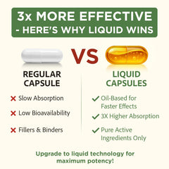 Oil-based delivery system for fast absorption