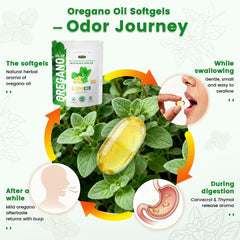 Thymoquinone antioxidant from black seed oil