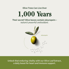 Capsules for digestion and brain function support.