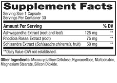 Illustration of Ashwagandha used in OLLY Chill