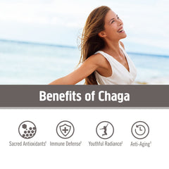 Chaga powder being dispensed for serving