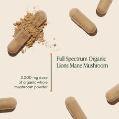 Close-up of Lion’s Mane mushroom capsules