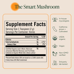 Illustration of memory, focus and nerve health benefits