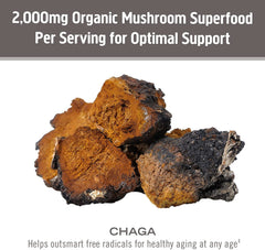 Third-party tested Om Mushroom Chaga powder for purity and potency